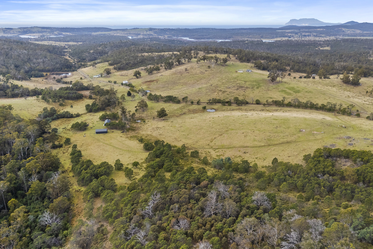 391 Bresnehans Road, Little Swanport, TAS, 7190 - Image 2