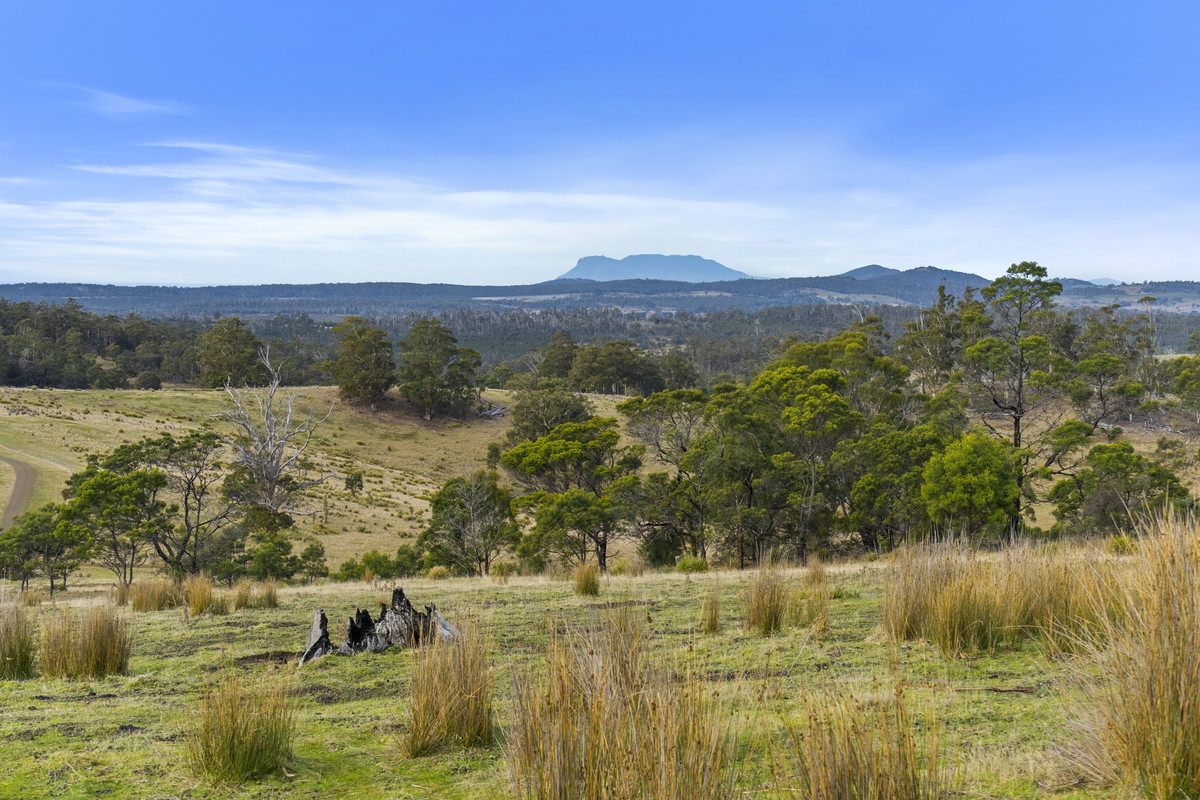 391 Bresnehans Road, Little Swanport, TAS, 7190 - Image 3