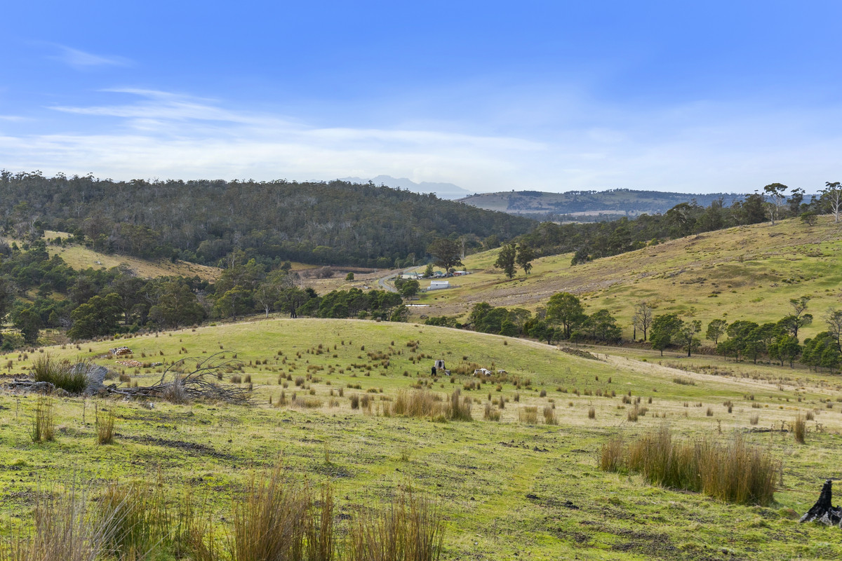 391 Bresnehans Road, Little Swanport, TAS, 7190 - Image 5