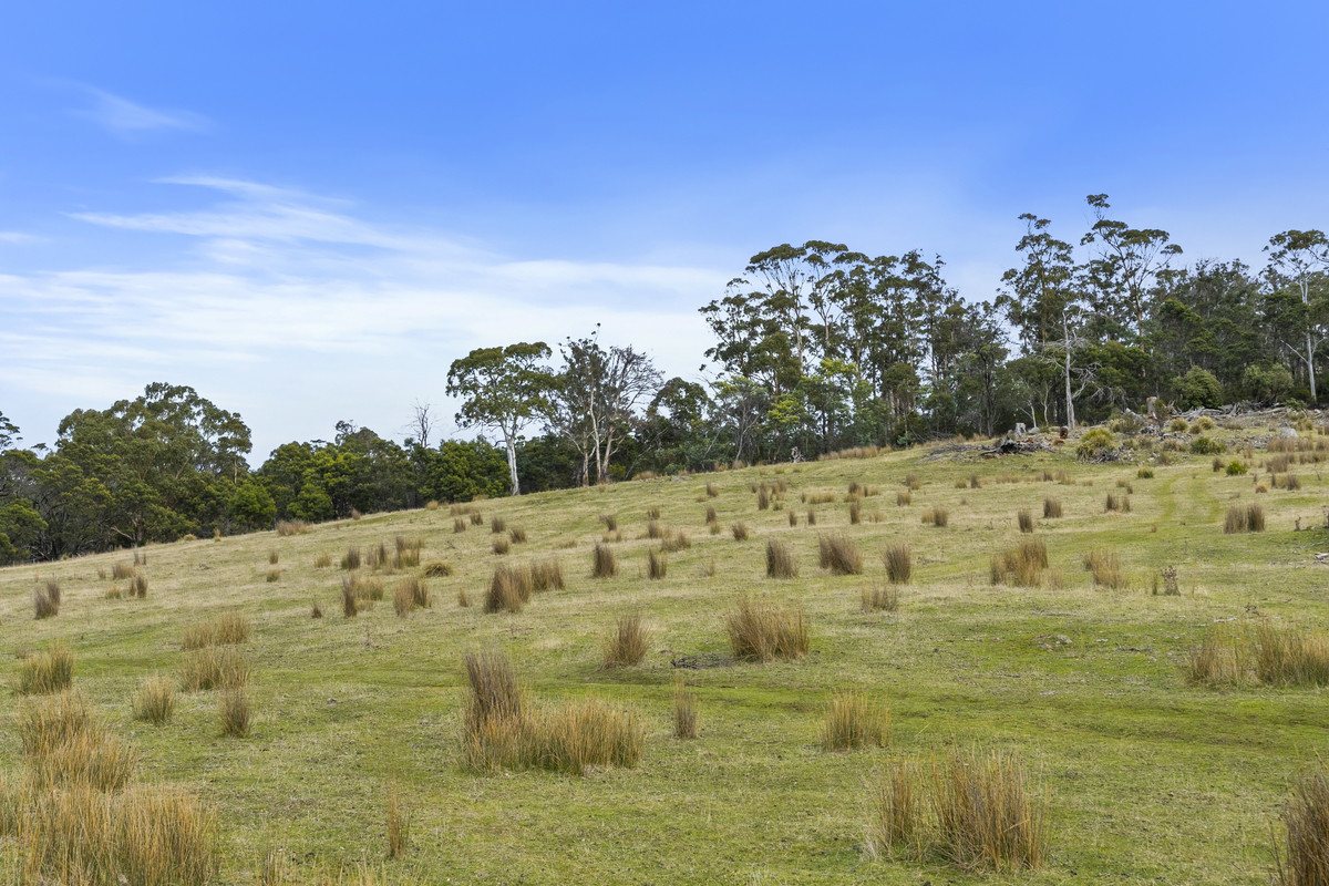 391 Bresnehans Road, Little Swanport, TAS, 7190 - Image 7