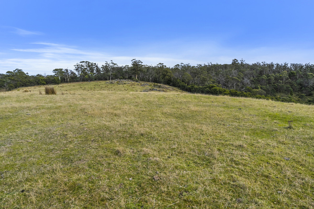 391 Bresnehans Road, Little Swanport, TAS, 7190 - Image 8