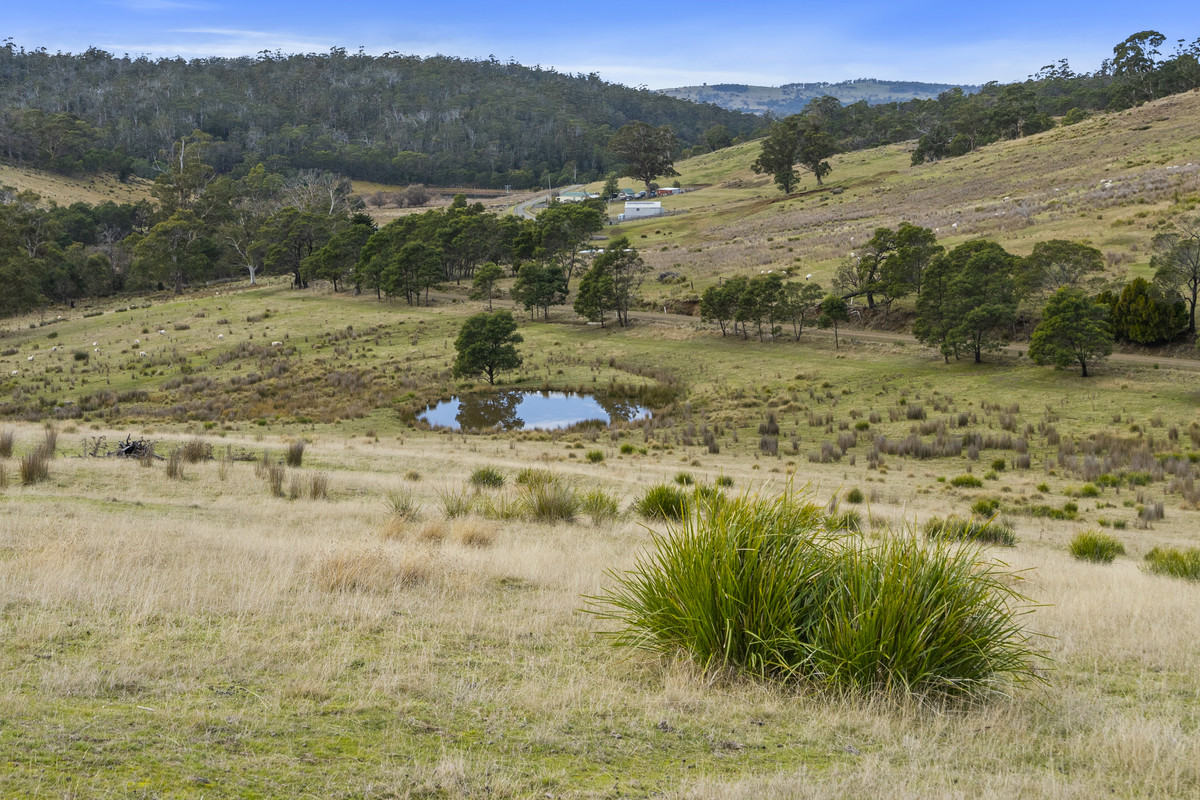 391 Bresnehans Road, Little Swanport, TAS, 7190 - Image 9