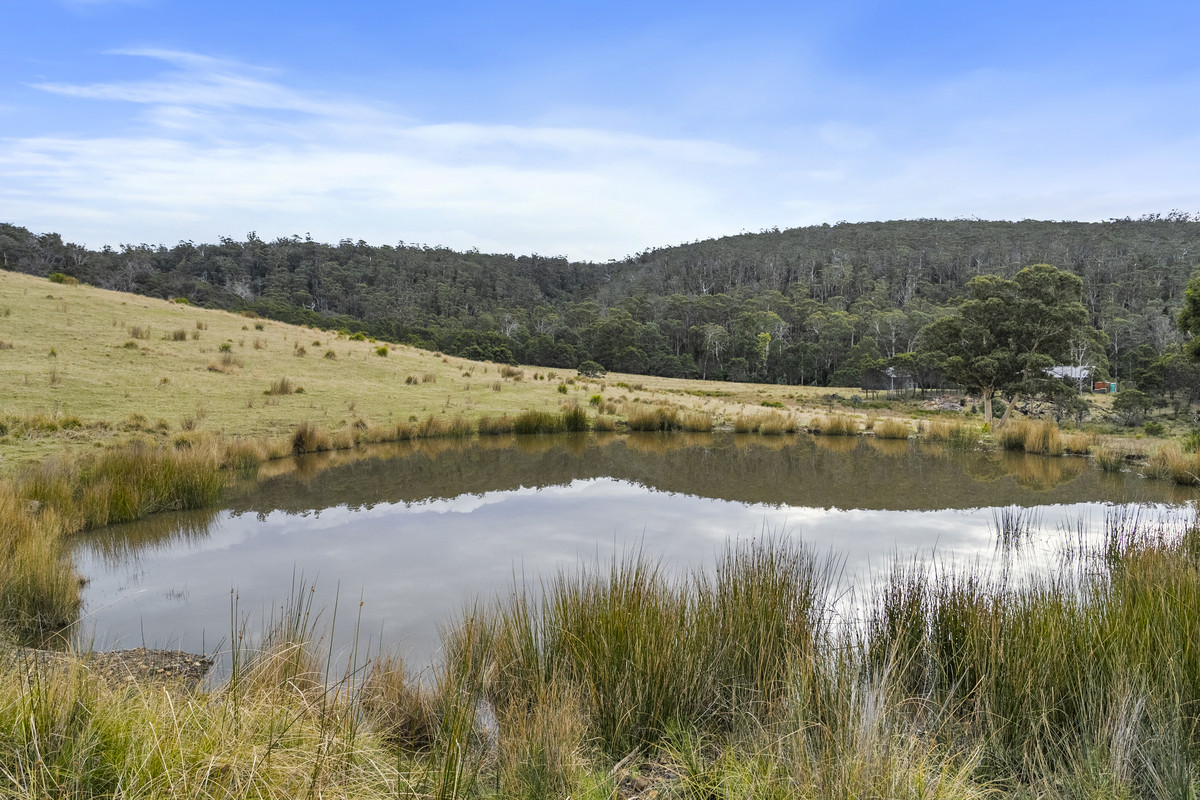 391 Bresnehans Road, Little Swanport, TAS, 7190 - Image 10