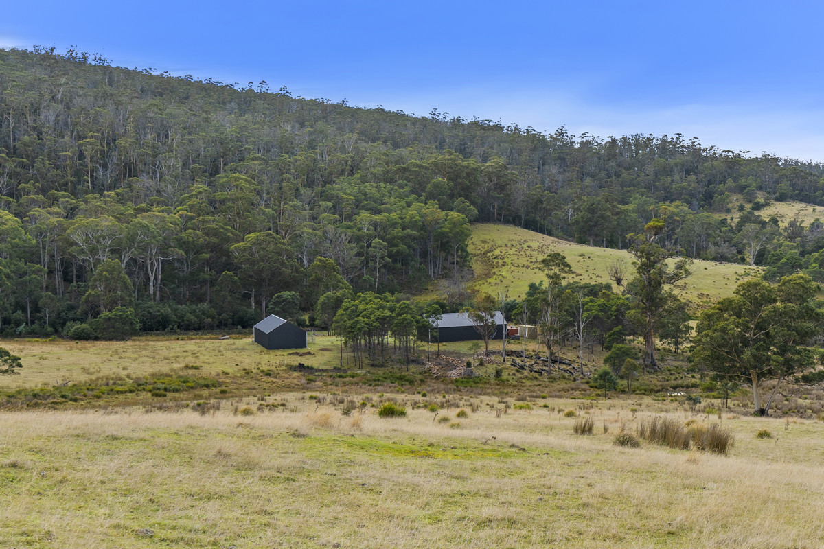 391 Bresnehans Road, Little Swanport, TAS, 7190 - Image 11
