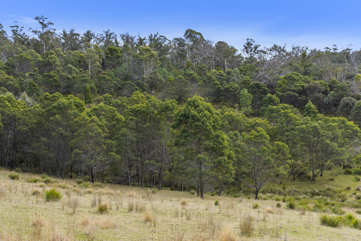 391 Bresnehans Road, Little Swanport, TAS, 7190 - Image 15