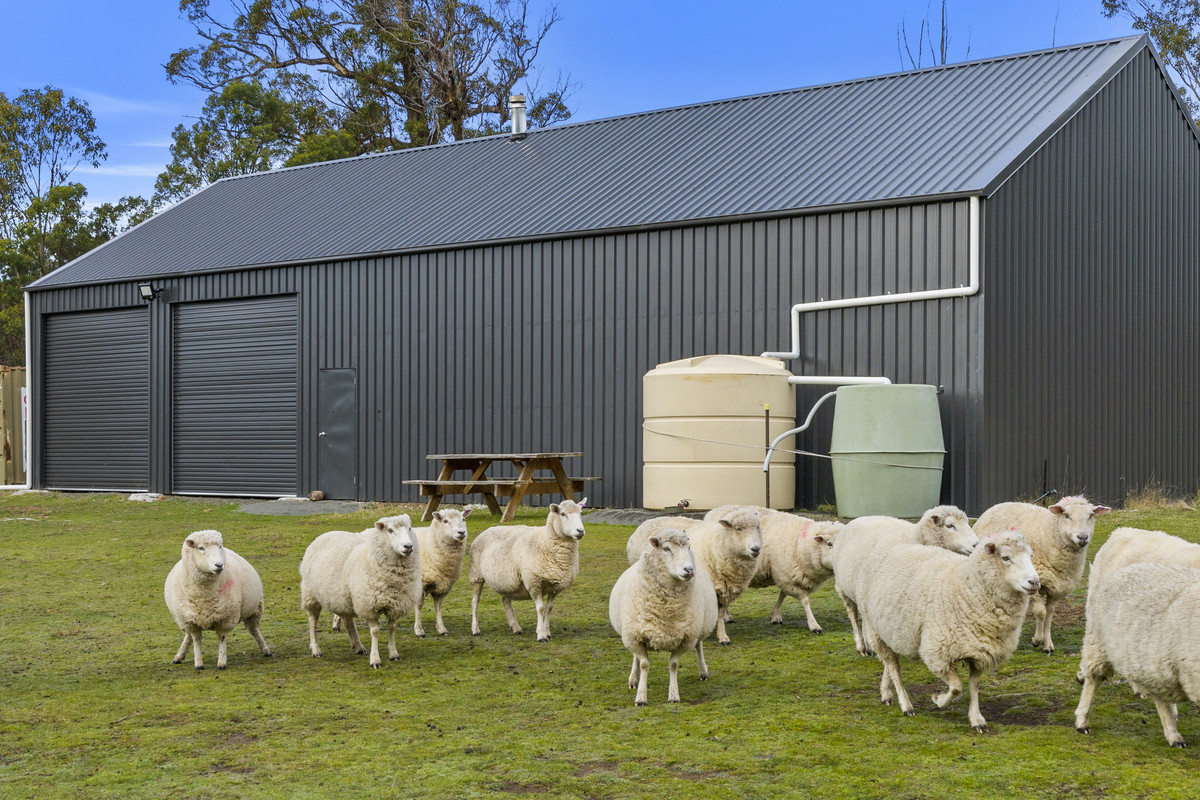 391 Bresnehans Road, Little Swanport, TAS, 7190 - Image 12