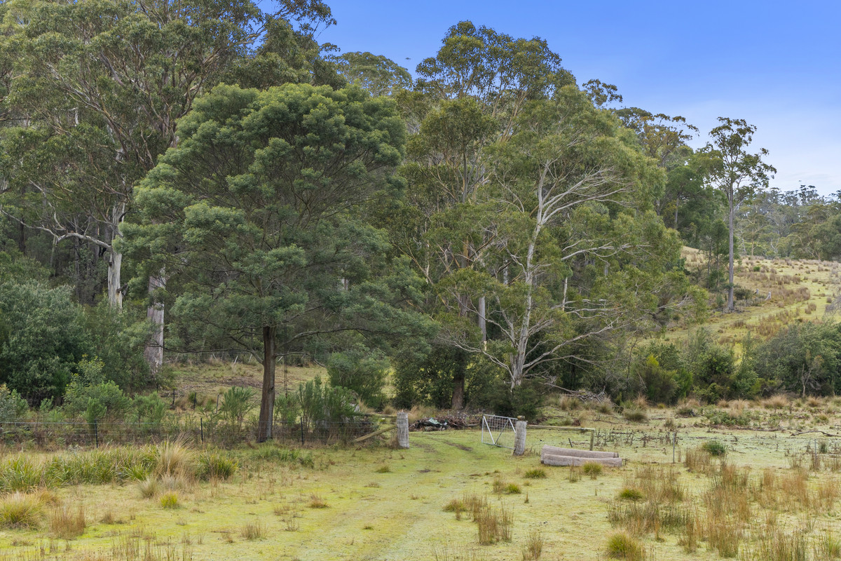 391 Bresnehans Road, Little Swanport, TAS, 7190 - Image 17