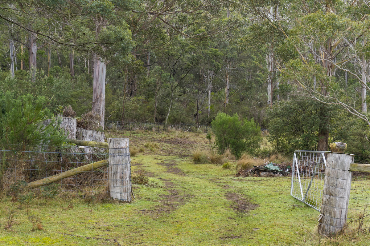 391 Bresnehans Road, Little Swanport, TAS, 7190 - Image 18