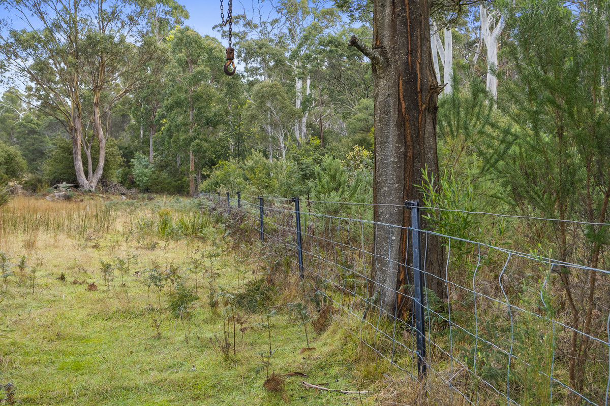 391 Bresnehans Road, Little Swanport, TAS, 7190 - Image 20