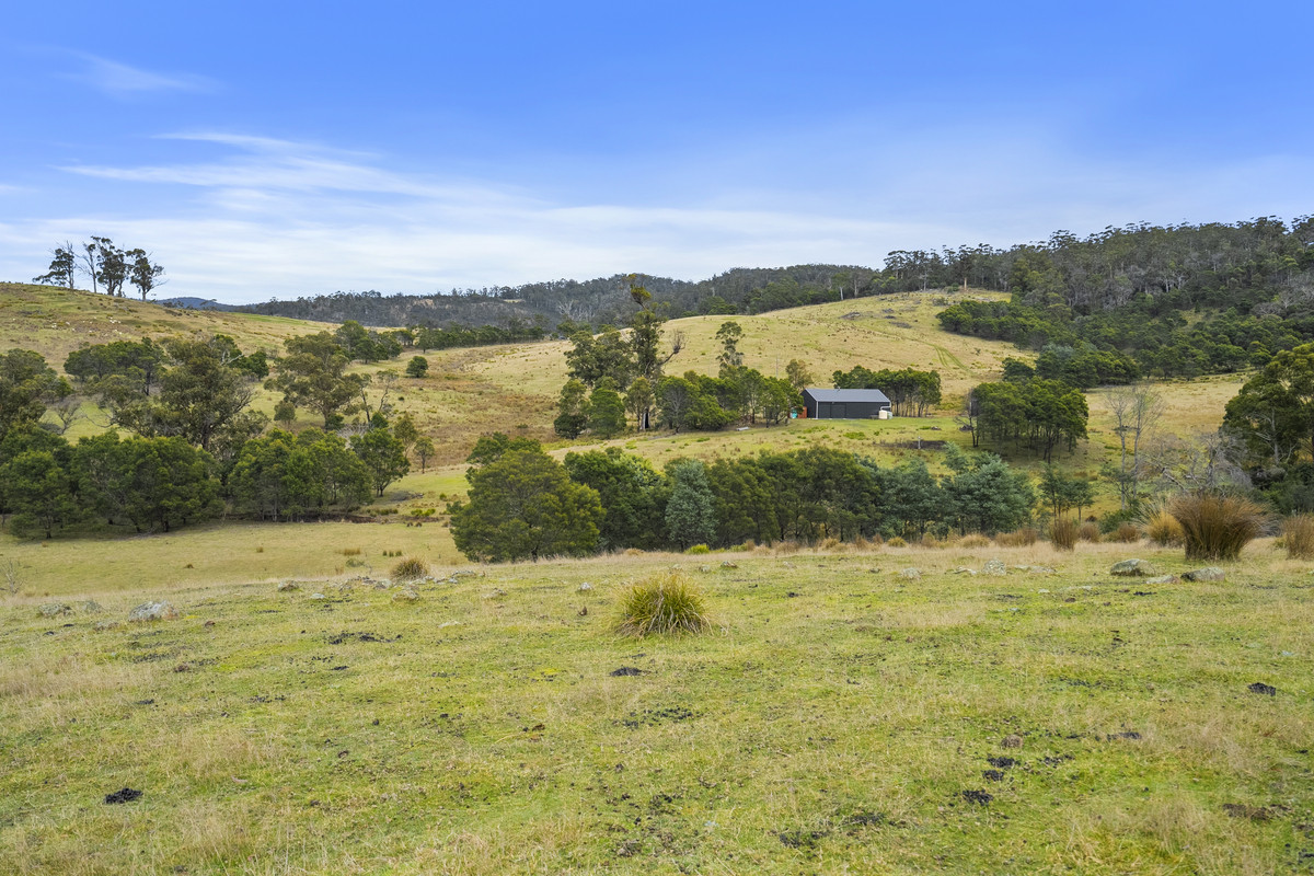 391 Bresnehans Road, Little Swanport, TAS, 7190 - Image 21