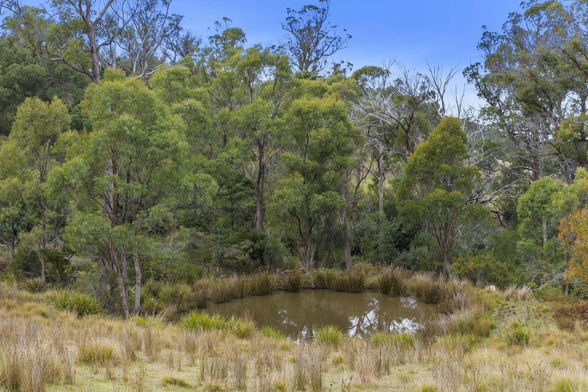 391 Bresnehans Road, Little Swanport, TAS, 7190 - Image 23