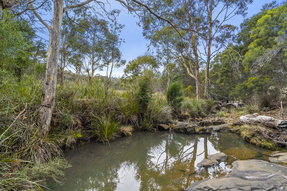 391 Bresnehans Road, Little Swanport, TAS, 7190 - Image 26