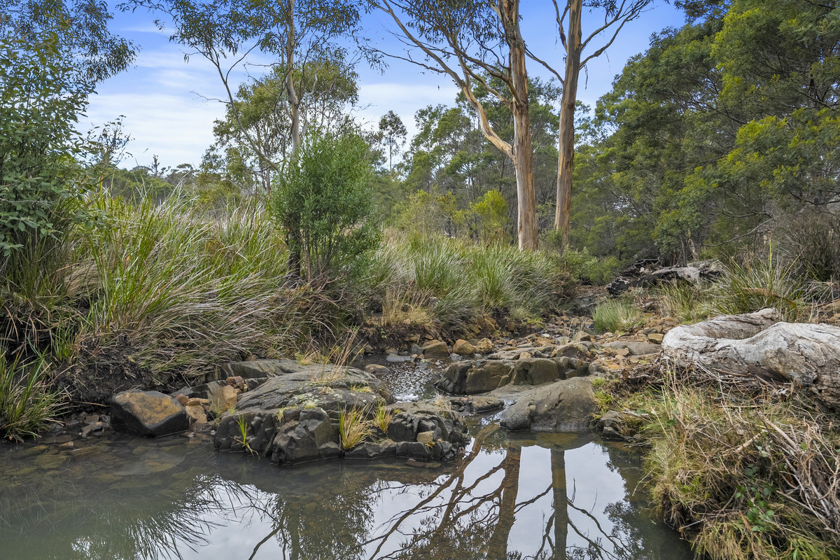 391 Bresnehans Road, Little Swanport, TAS, 7190 - Image 27