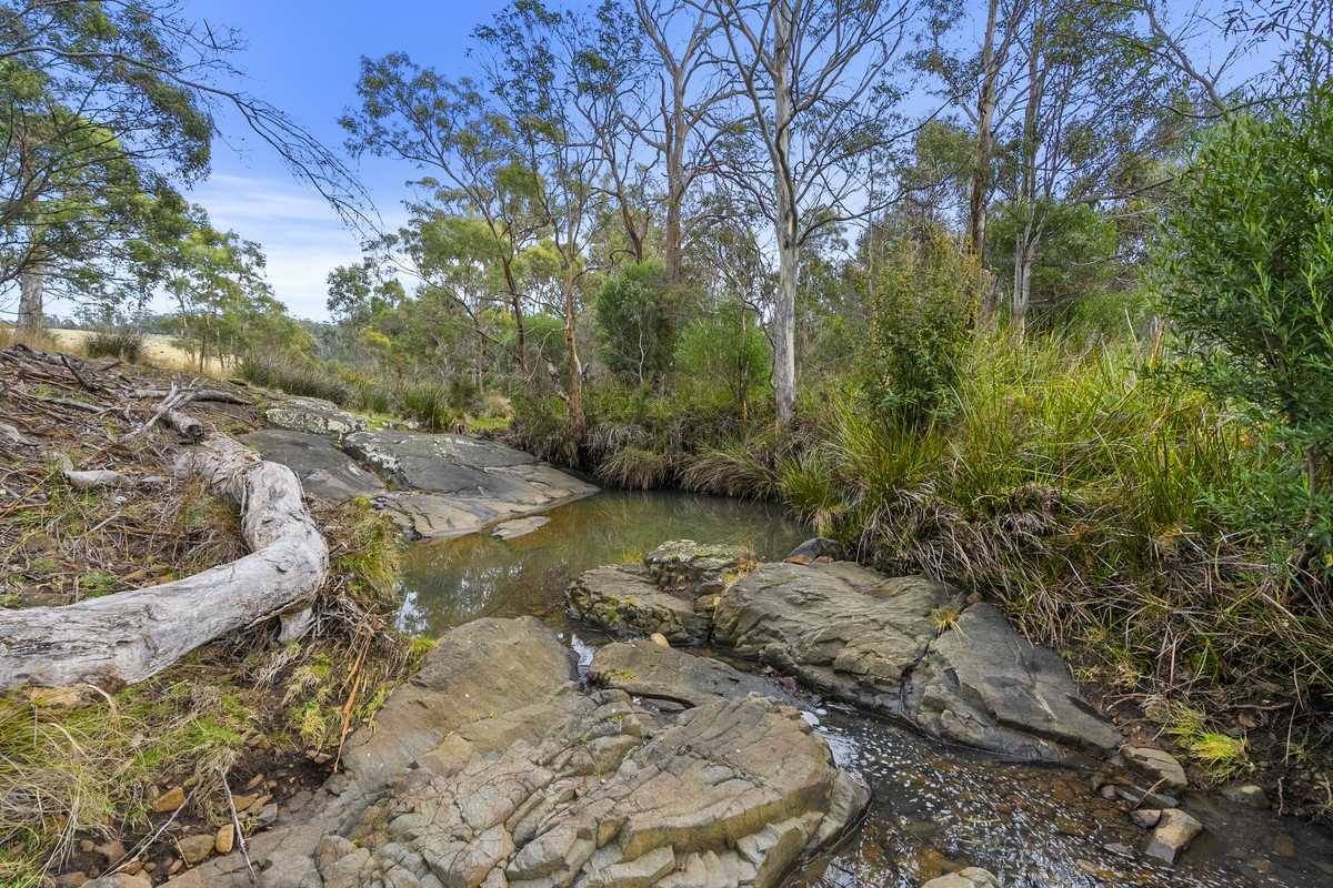 391 Bresnehans Road, Little Swanport, TAS, 7190 - Image 28