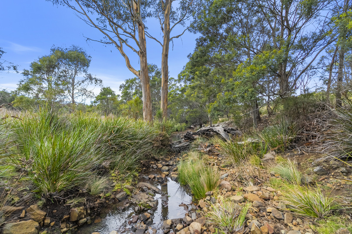 391 Bresnehans Road, Little Swanport, TAS, 7190 - Image 29
