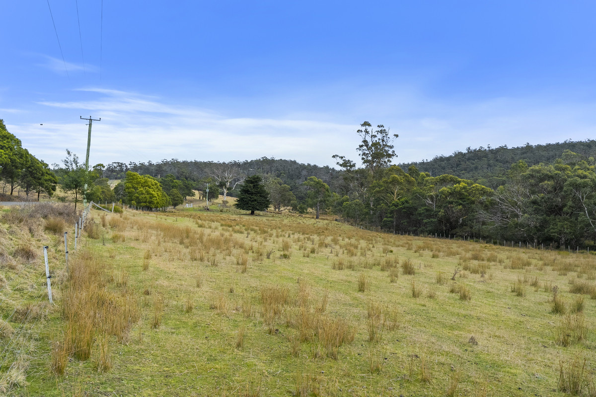 391 Bresnehans Road, Little Swanport, TAS, 7190 - Image 31