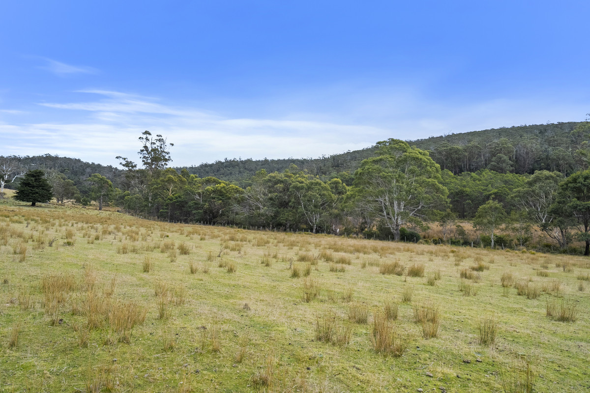 391 Bresnehans Road, Little Swanport, TAS, 7190 - Image 32