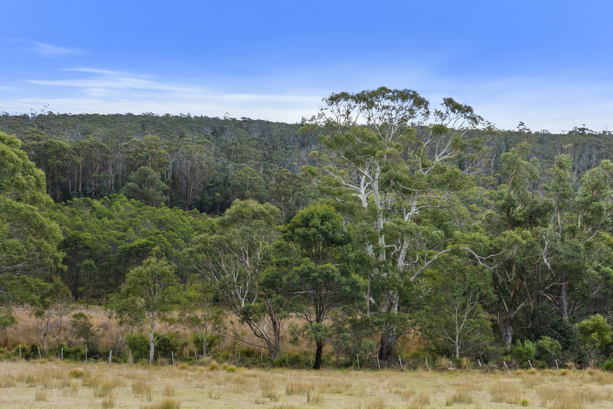 391 Bresnehans Road, Little Swanport, TAS, 7190 - Image 33