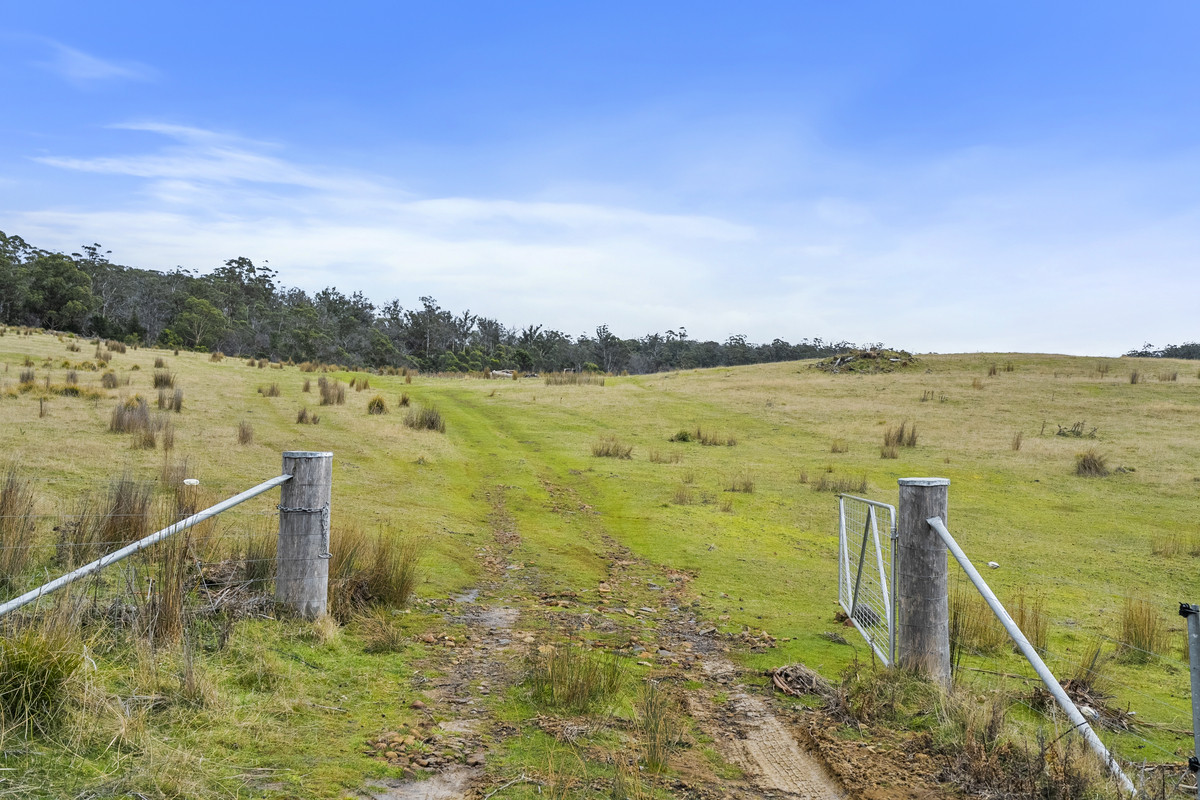 391 Bresnehans Road, Little Swanport, TAS, 7190 - Image 4