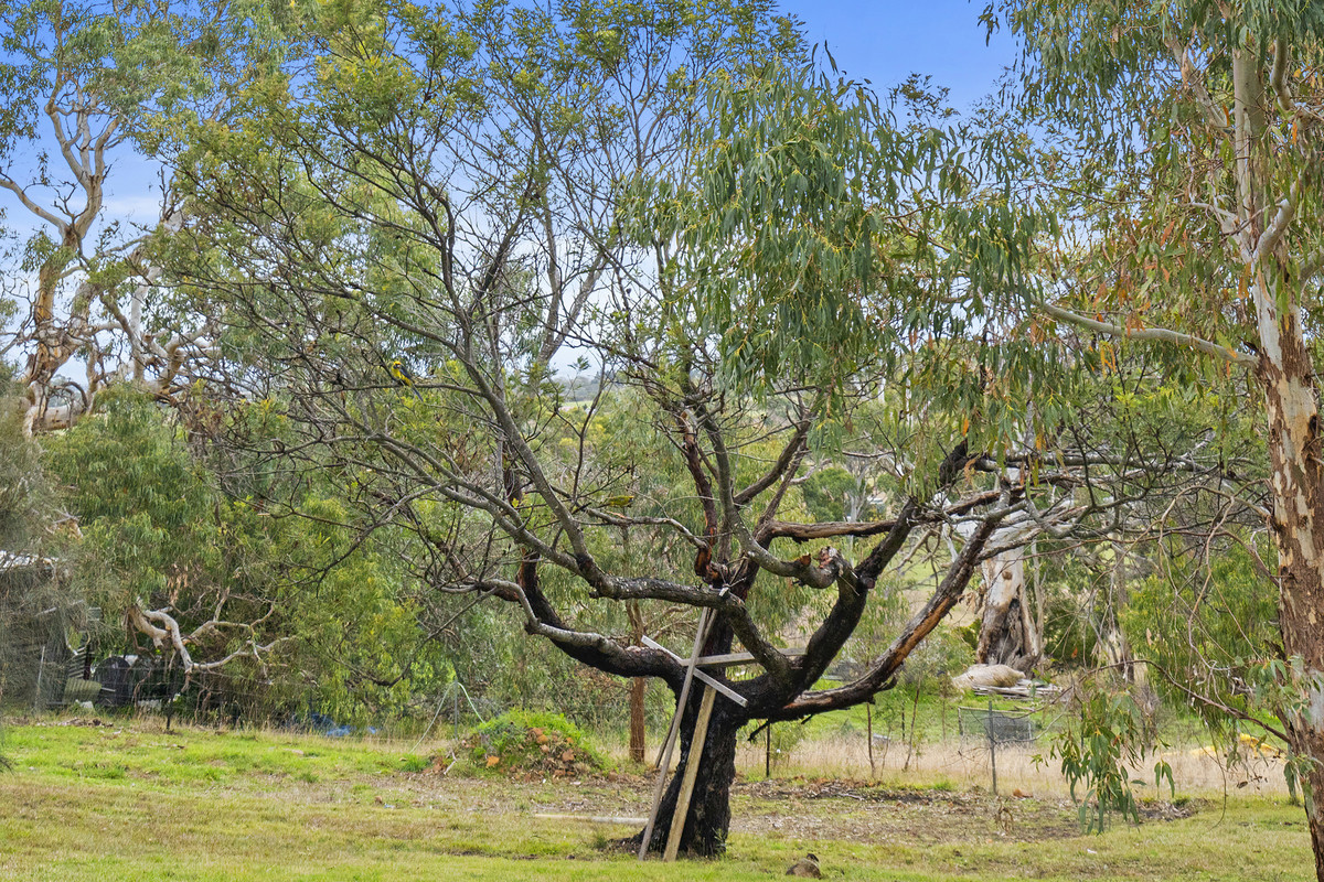 7A Burgess Street, Swansea, TAS, 7190 - Image 33