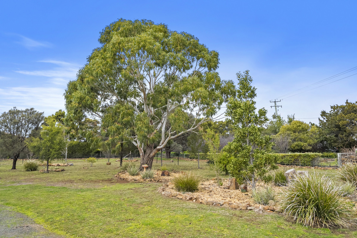 7A Burgess Street, Swansea, TAS, 7190 - Image 34