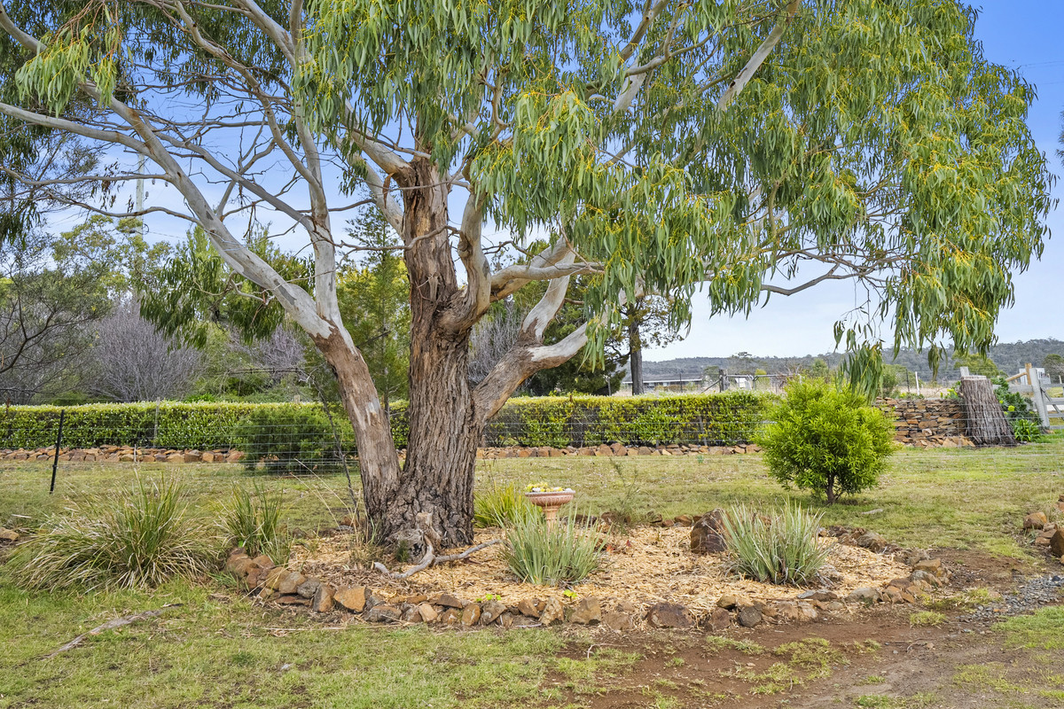 7A Burgess Street, Swansea, TAS, 7190 - Image 35