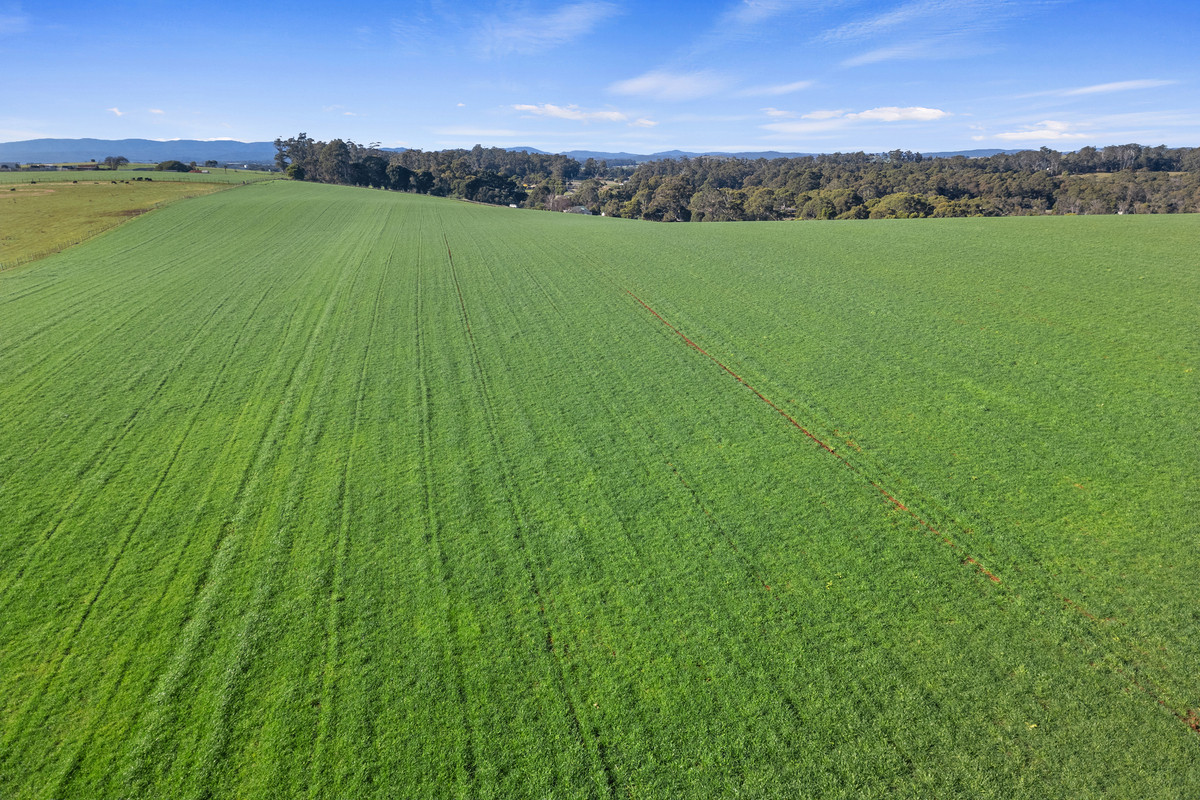 301 Moriarty Road, Moriarty, TAS, 7307 - Image 3