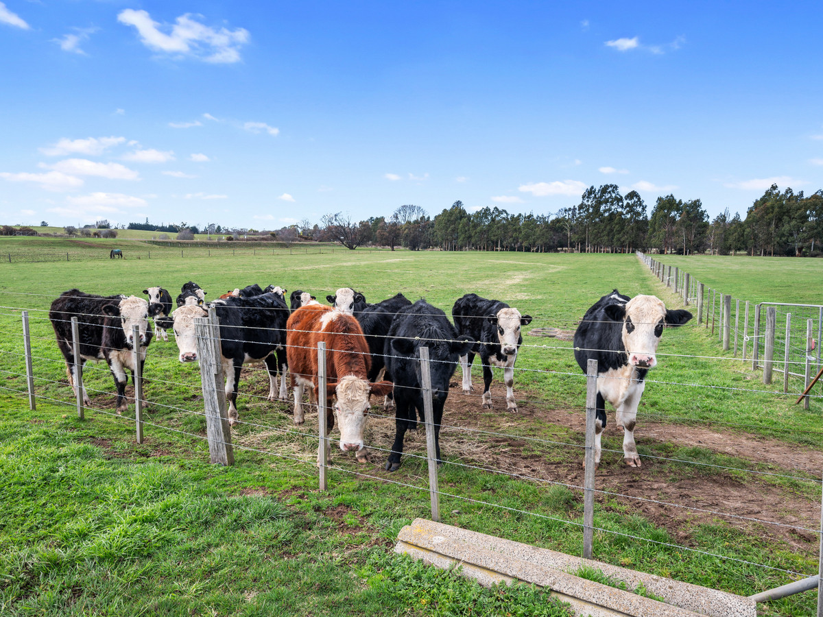 3181 Meander Valley Road, Westbury, TAS, 7303 - Image 22