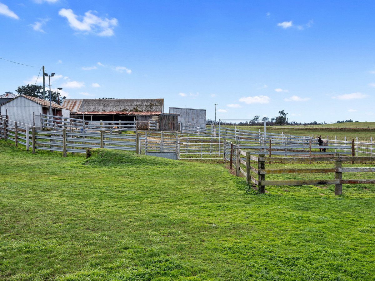 3181 Meander Valley Road, Westbury, TAS, 7303 - Image 21