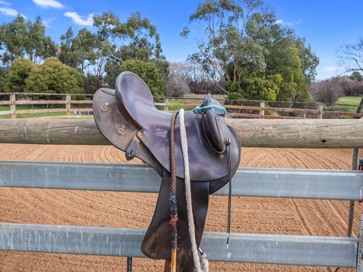3181 Meander Valley Road, Westbury, TAS, 7303 - Image 18