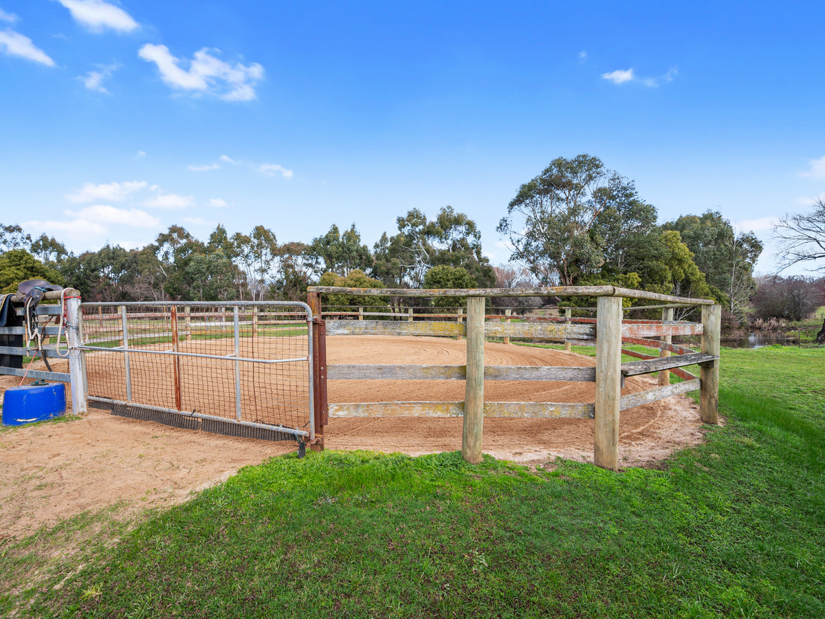 3181 Meander Valley Road, Westbury, TAS, 7303 - Image 17