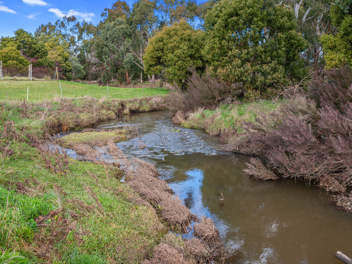 3181 Meander Valley Road, Westbury, TAS, 7303 - Image 29