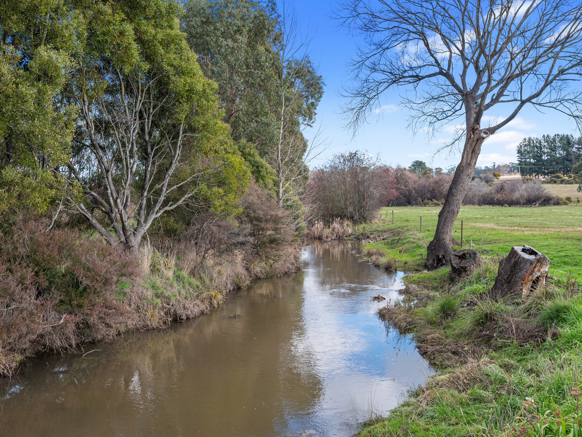 3181 Meander Valley Road, Westbury, TAS, 7303 - Image 27