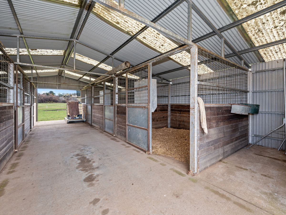 3181 Meander Valley Road, Westbury, TAS, 7303 - Image 20