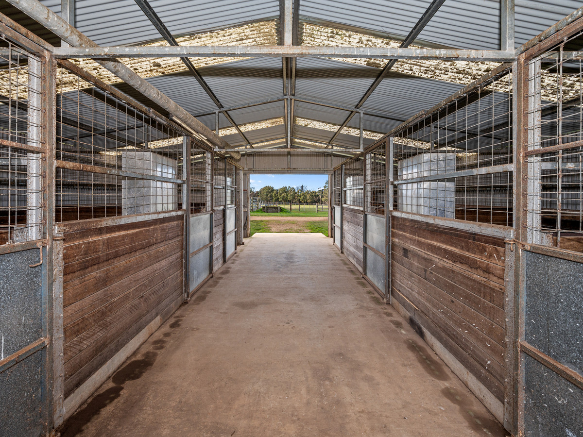 3181 Meander Valley Road, Westbury, TAS, 7303 - Image 19