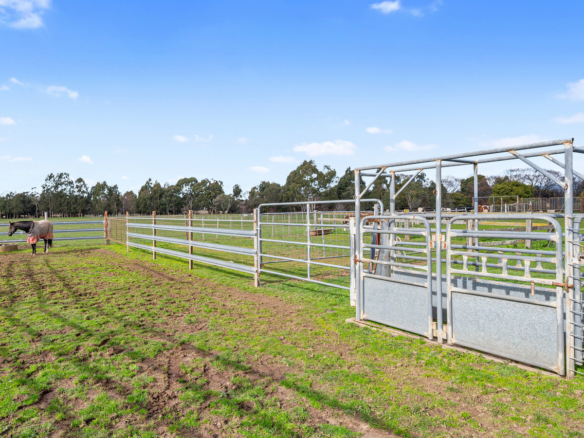 3181 Meander Valley Road, Westbury, TAS, 7303 - Image 23