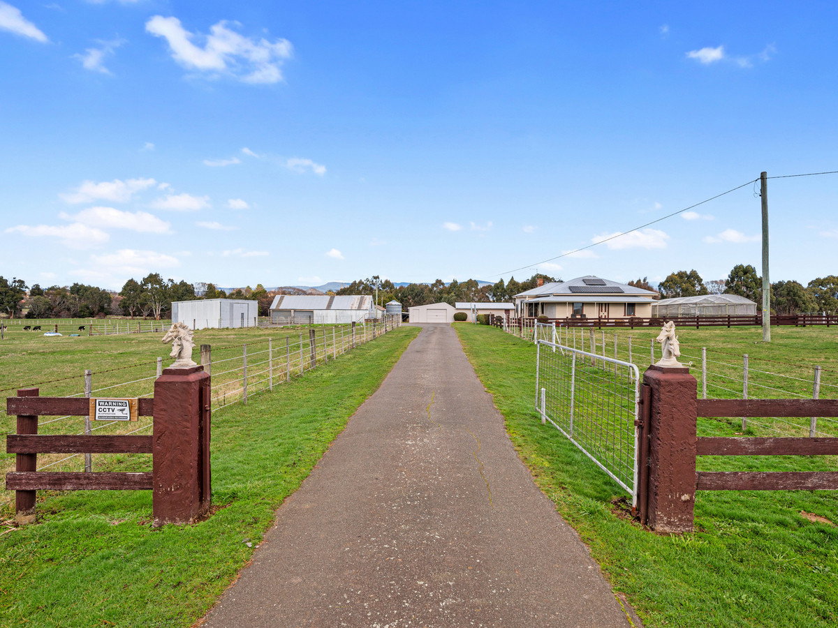 3181 Meander Valley Road, Westbury, TAS, 7303 - Image 3
