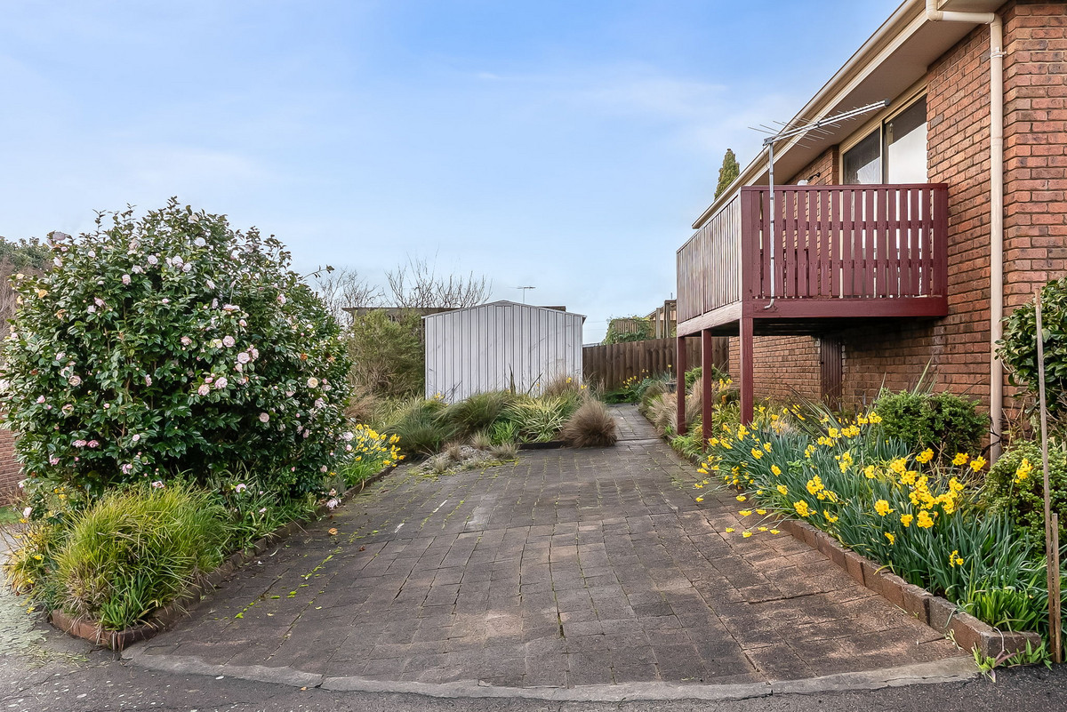 1/3 Scott Street, Scottsdale, TAS, 7260 - Image 27