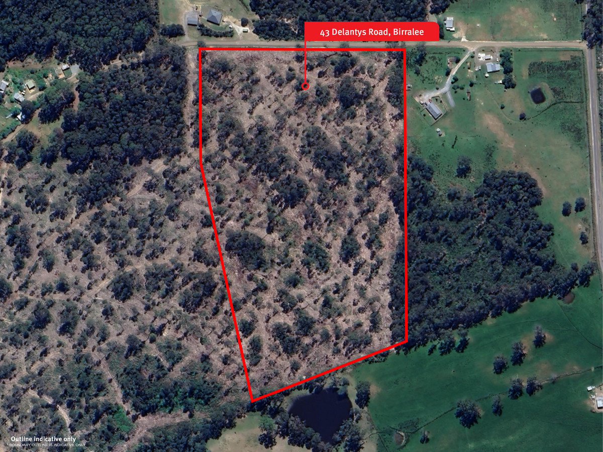 43 & 51 Delantys Road, Birralee, TAS, 7303 - Image 16