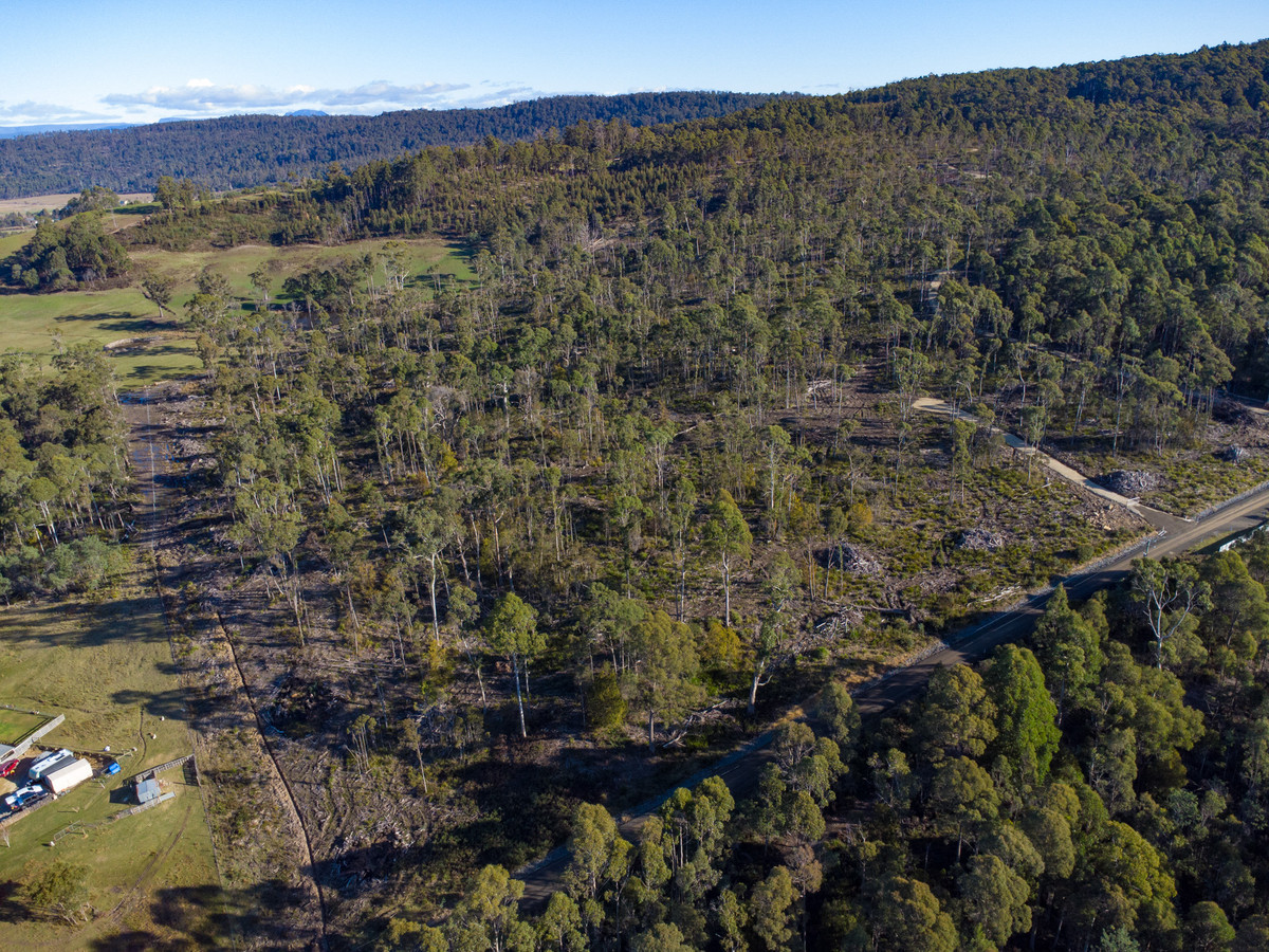 43 & 51 Delantys Road, Birralee, TAS, 7303 - Image 9