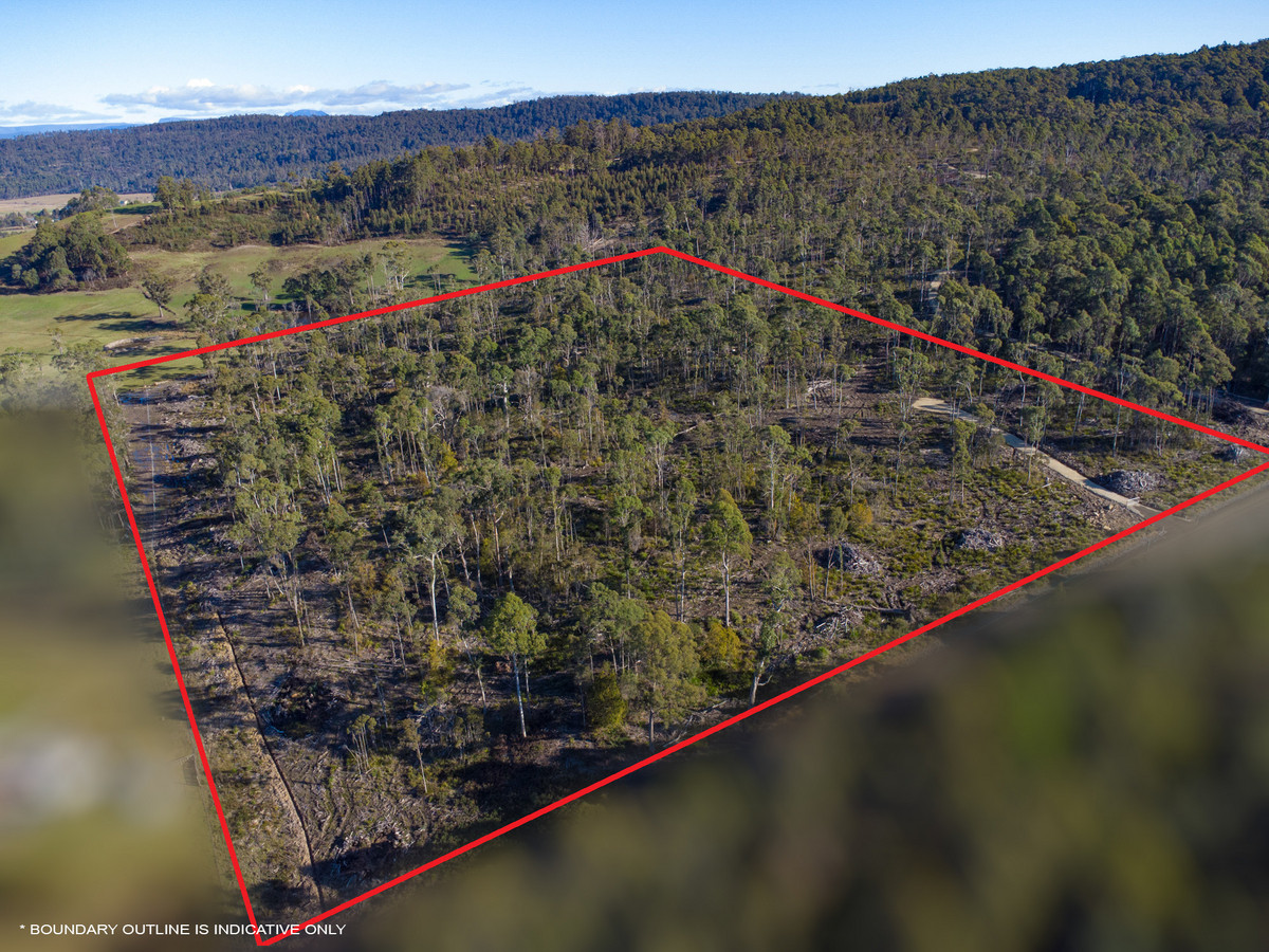 43 & 51 Delantys Road, Birralee, TAS, 7303 - Image 18