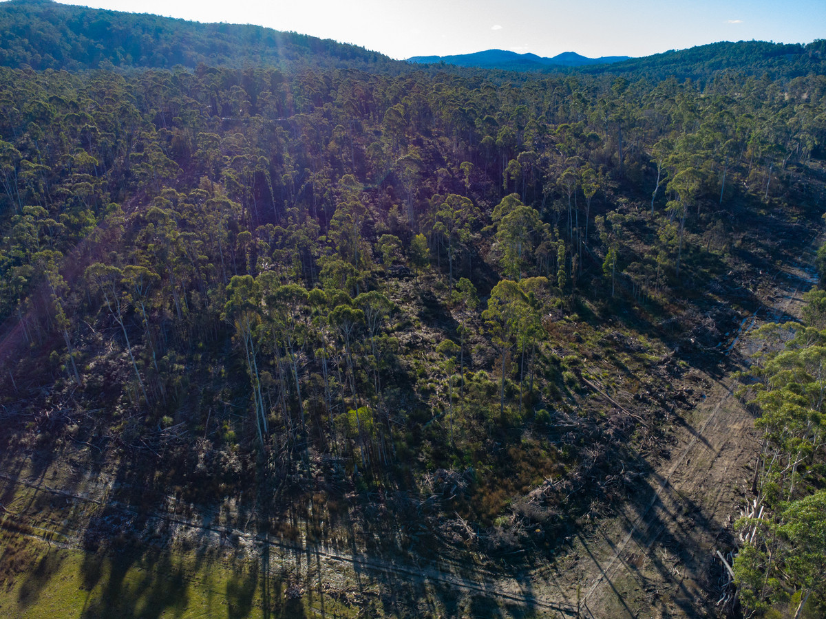 43 & 51 Delantys Road, Birralee, TAS, 7303 - Image 12