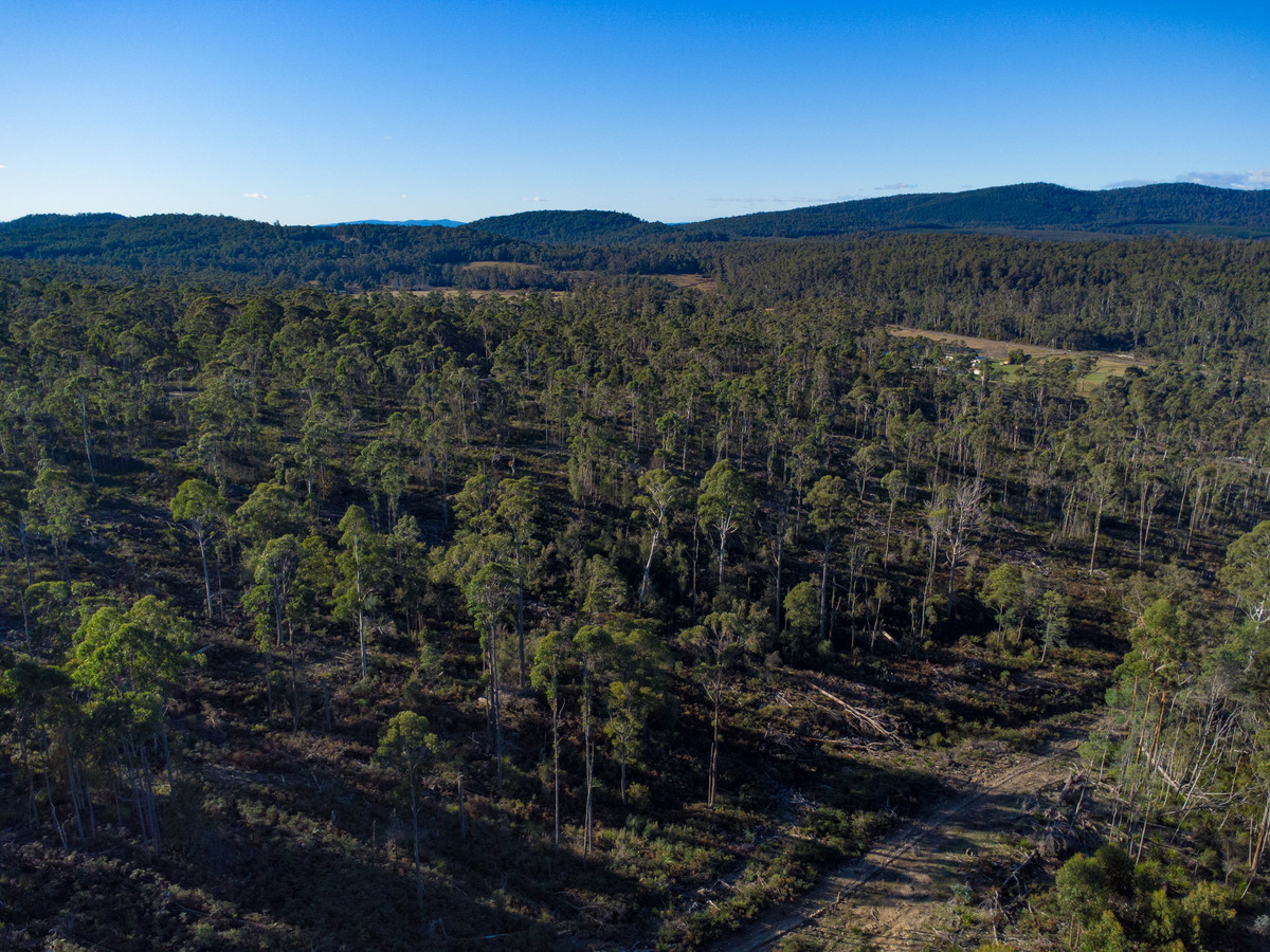 43 & 51 Delantys Road, Birralee, TAS, 7303 - Image 13