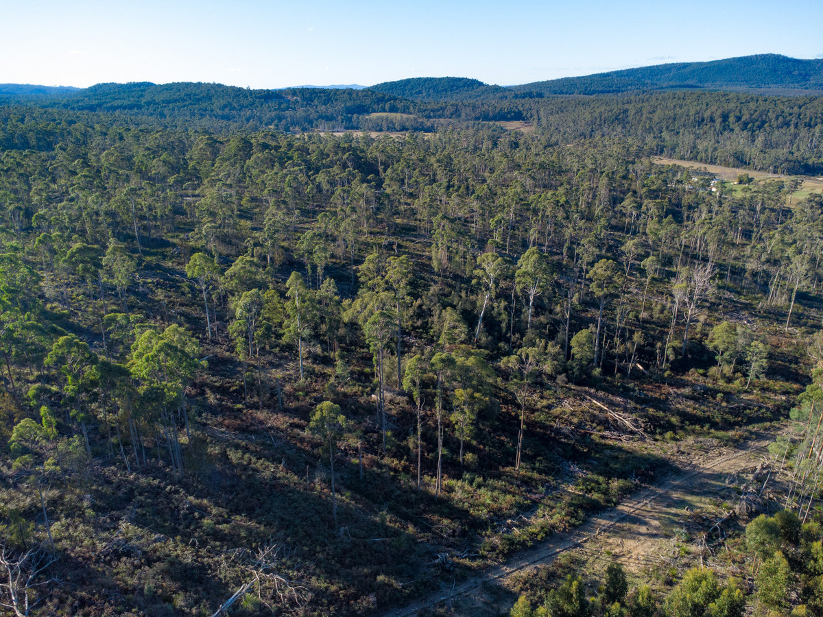 43 & 51 Delantys Road, Birralee, TAS, 7303 - Image 14
