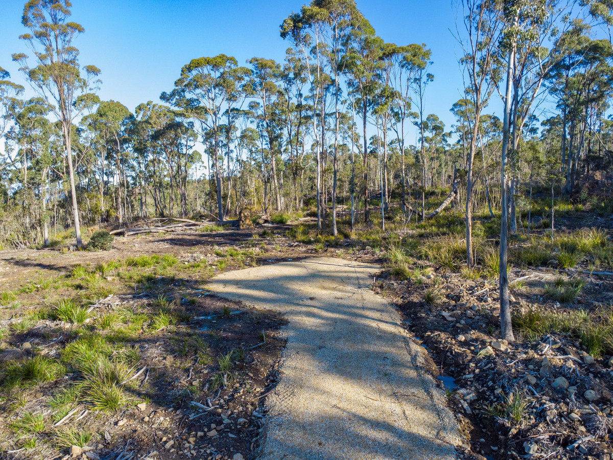 43 & 51 Delantys Road, Birralee, TAS, 7303 - Image 11
