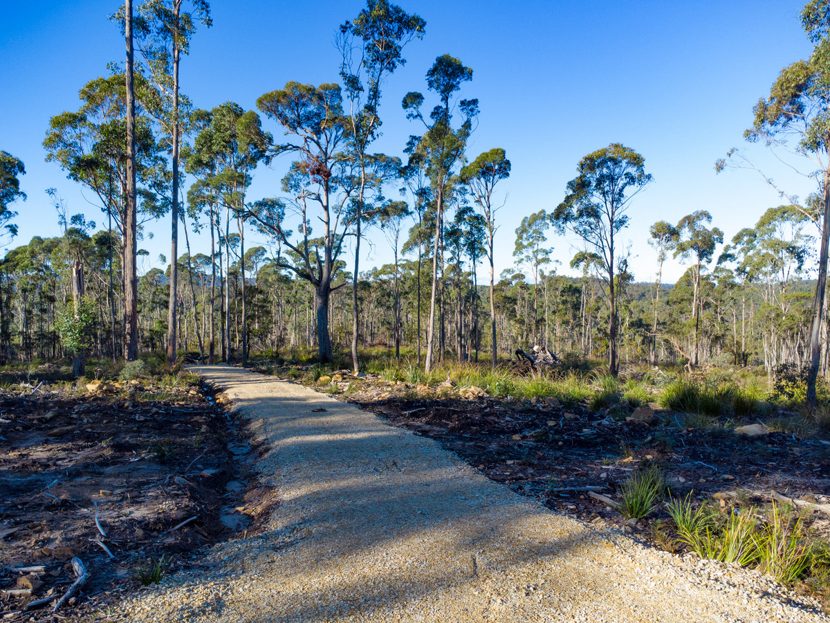 43 & 51 Delantys Road, Birralee, TAS, 7303 - Image 1