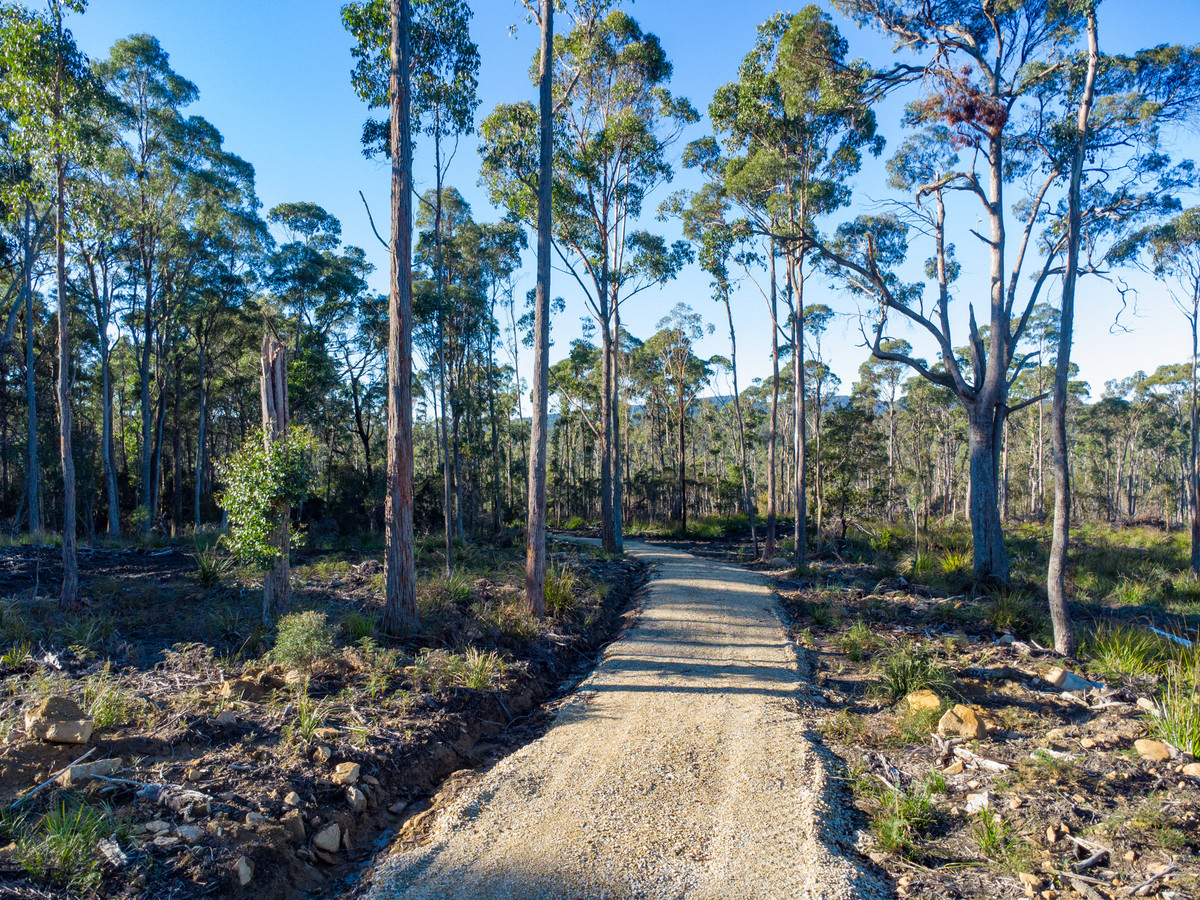 43 & 51 Delantys Road, Birralee, TAS, 7303 - Image 7