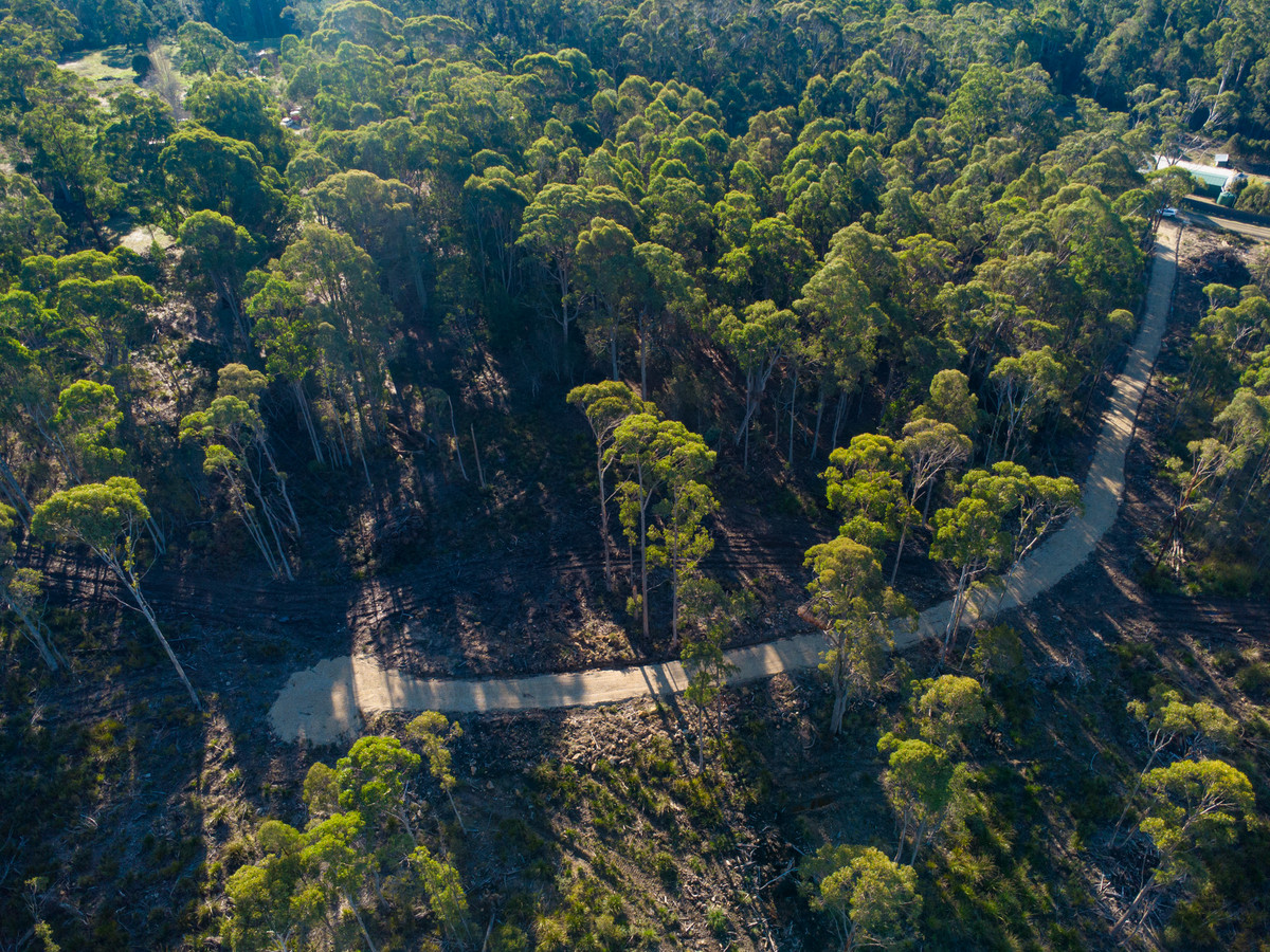 43 & 51 Delantys Road, Birralee, TAS, 7303 - Image 3