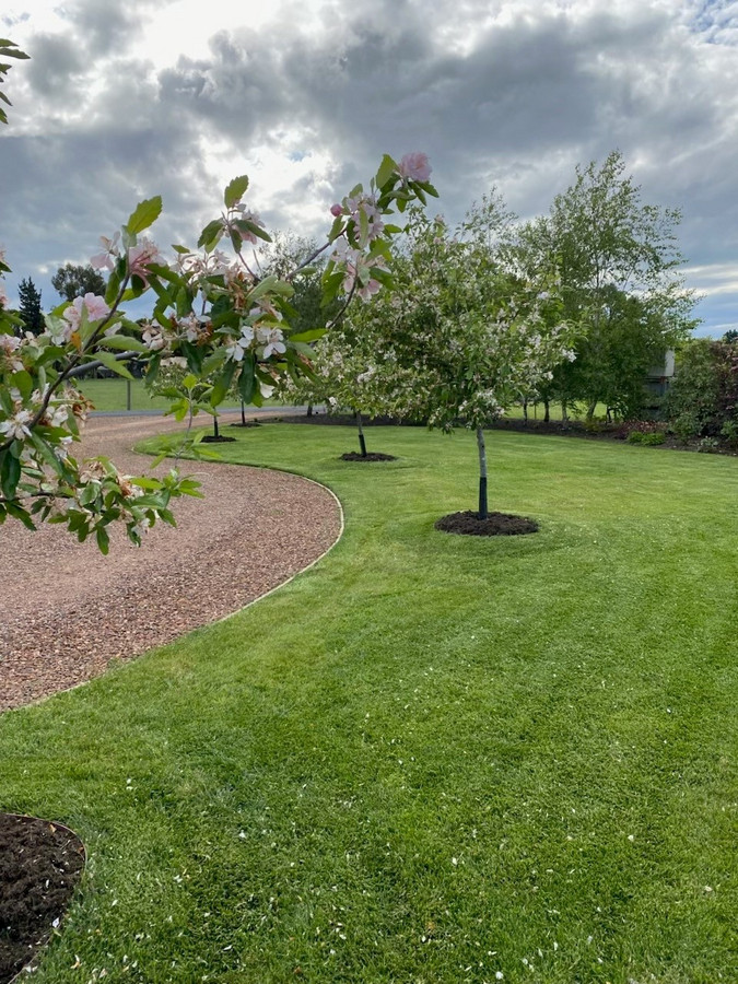 123a Wellington Street, Longford, TAS, 7301 - Image 31