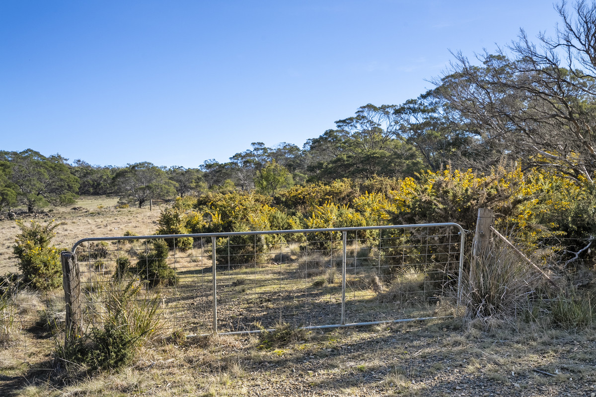 2 Young Street, Swansea, TAS, 7190 - Image 4